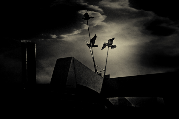 Flight of Metal Birds 3988.jpg