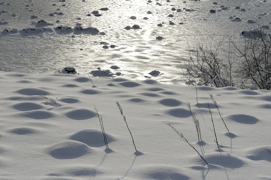 From Senja
