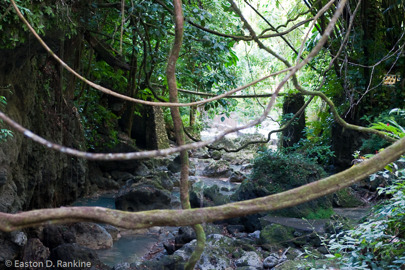 Daniels River V