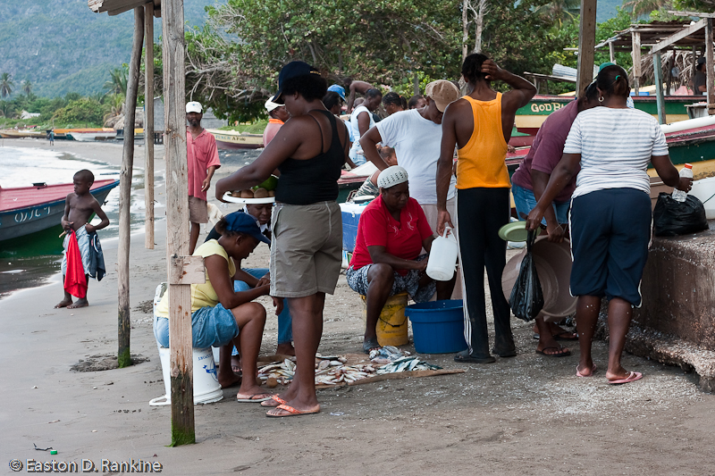 Fish Sale II