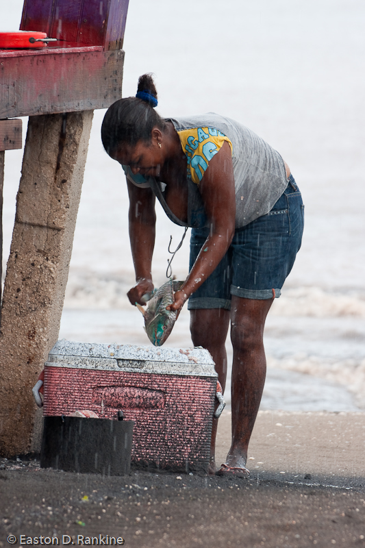 Scaling Fish in the Rain