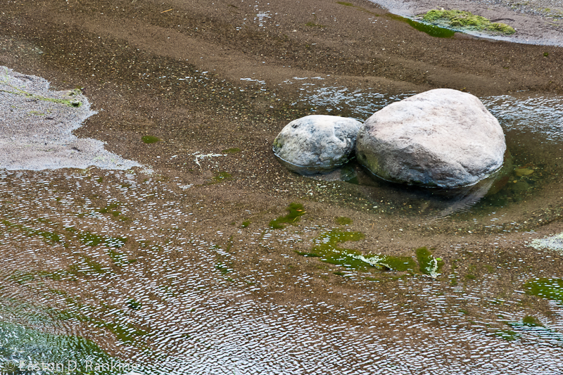 DSC08958.jpg