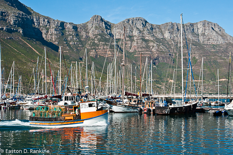 Hout Bay Harbour IV