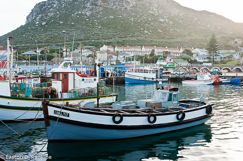 Fishing Boats VI, Kalk Bay Harbour