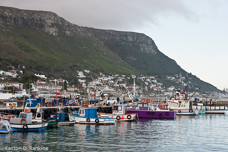 Kalk Bay V