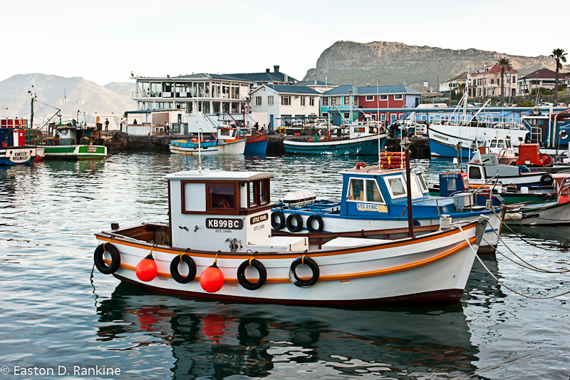 Fishing Boats XII, Kalk Bay Harbour