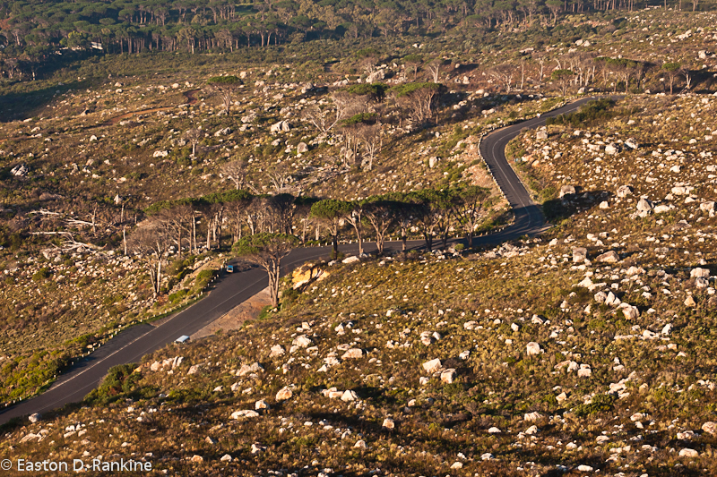 Table Mountain Road from the Cable Car