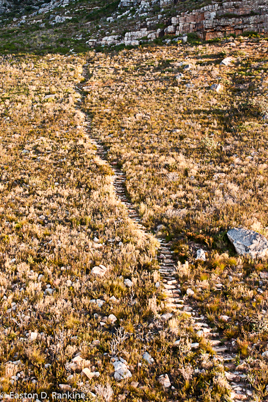 Hiking Trail, Table Mountain