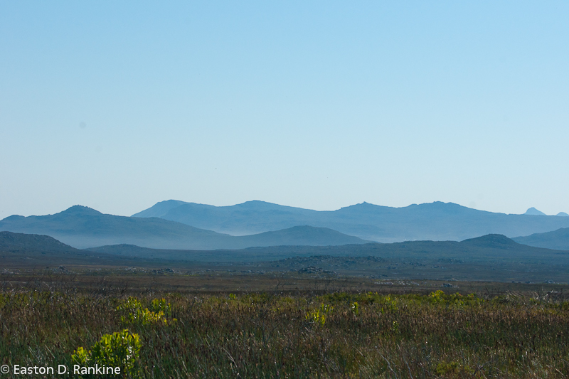 Mountains II - Cape of Good Hope Nature Reserve