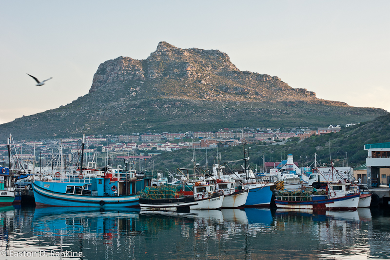Hout Bay Harbour I