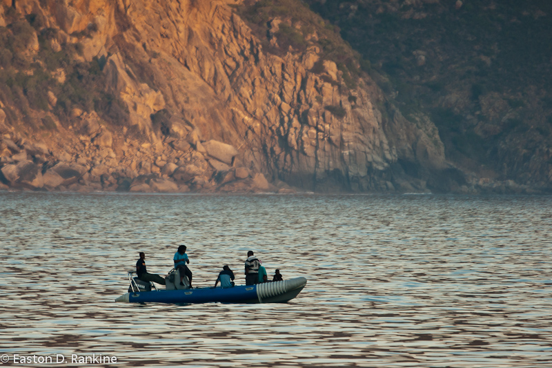 Liesure, Hout Bay