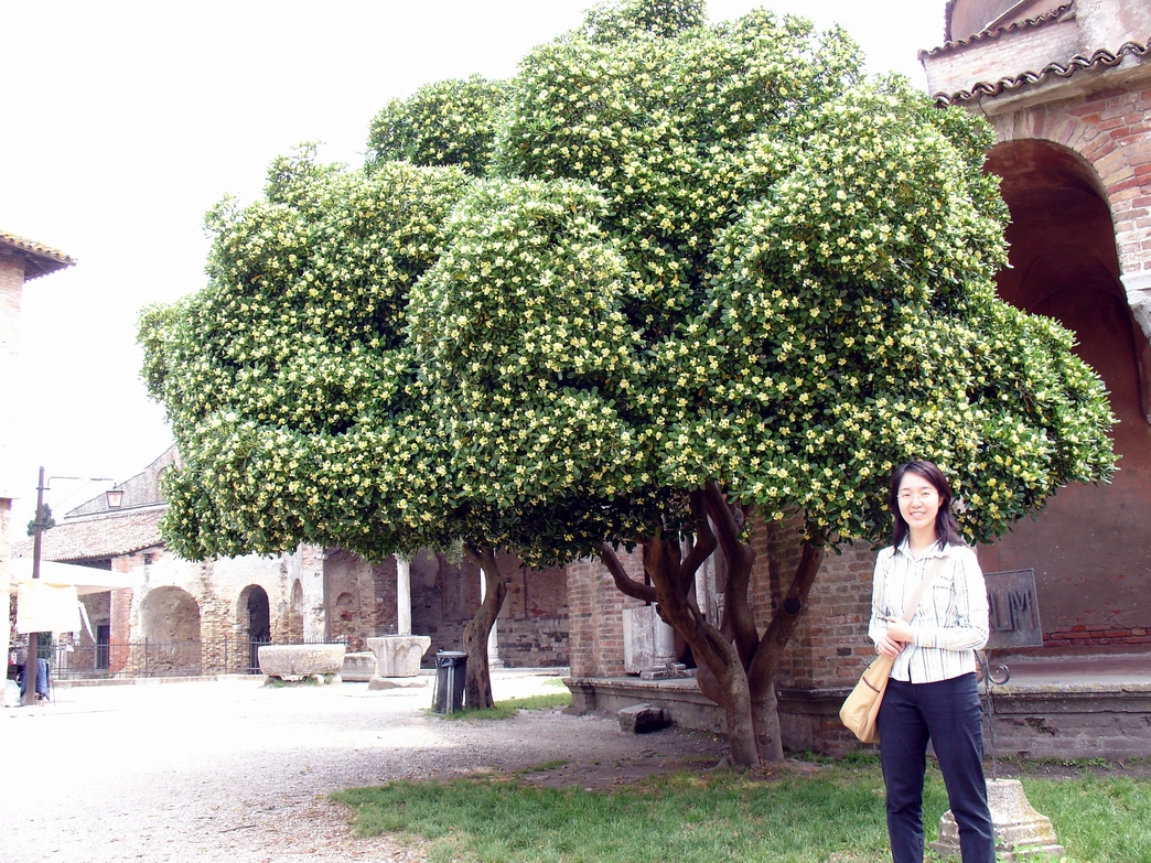 Torcello