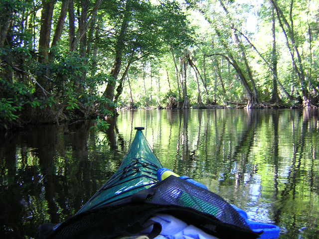 DSCN0176.JPG