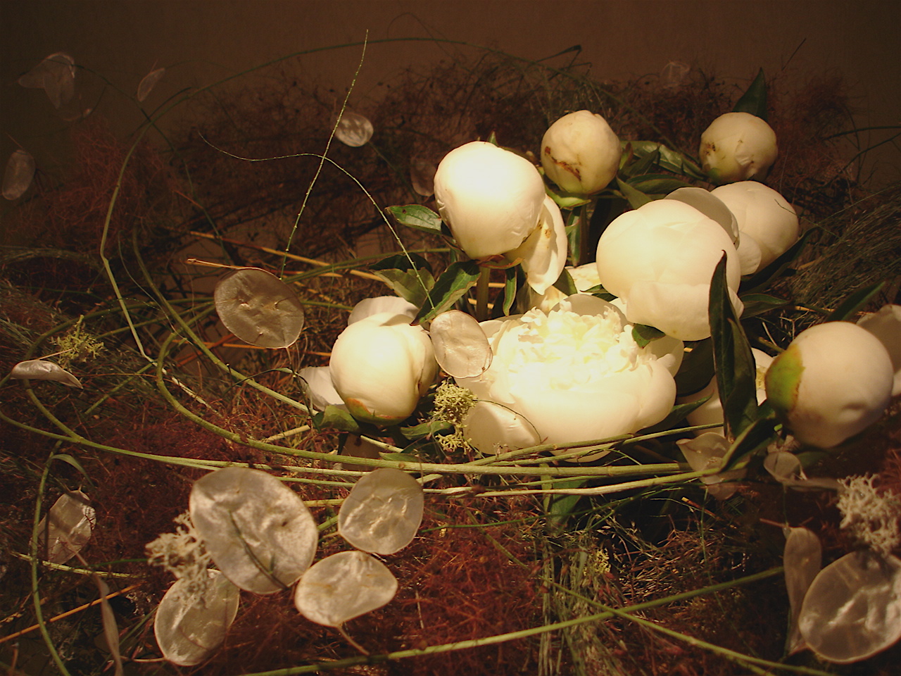 bird nest (close up)