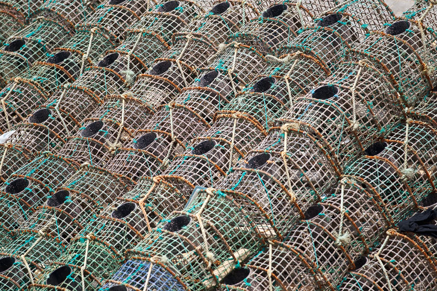 Lobster traps