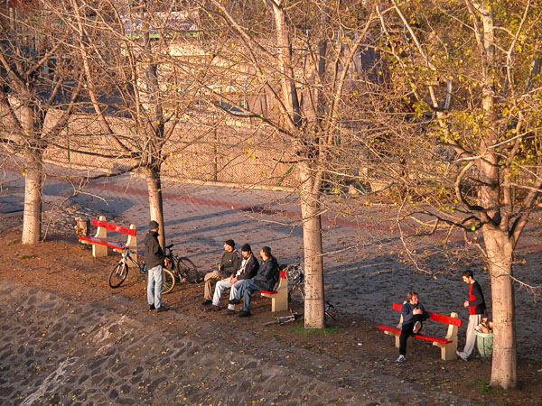 Budapest youth enjoying the last rays of sun for the day (Margit Island)