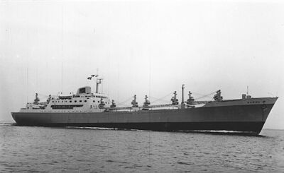 o4/09/251609/1/62110711.G2wIg8ft.Norma19634.jpg