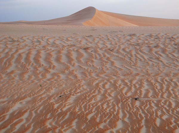 dune at early dawn.jpg