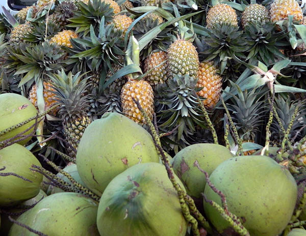 pineapples and coconuts.jpg