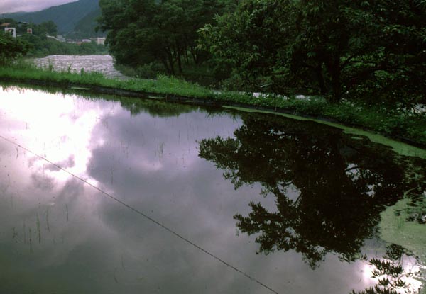 river and flooded field.jpg