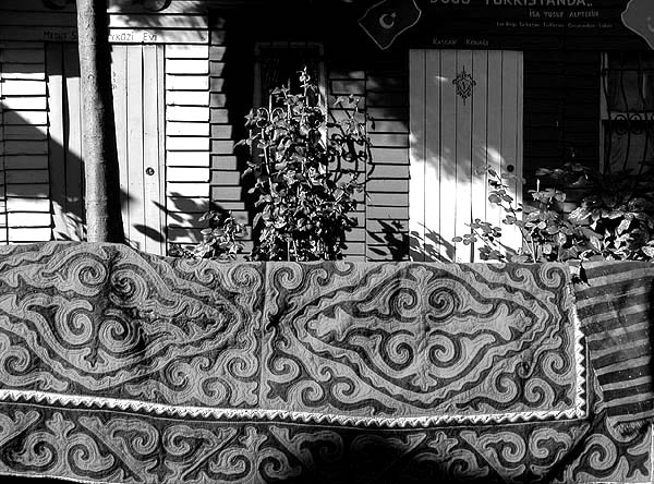 bw600carpethouse38.jpg