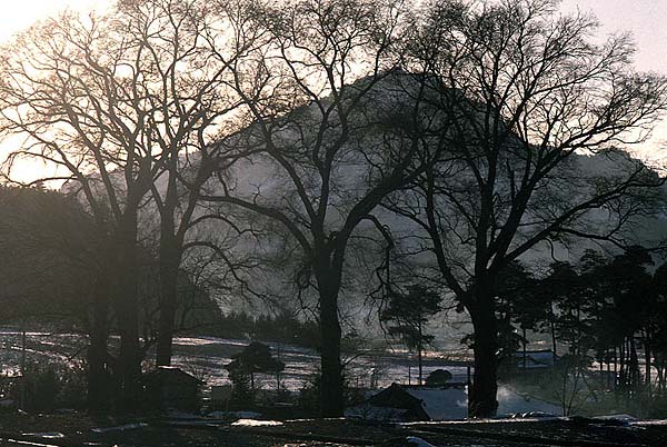 winterkangwondo.jpg