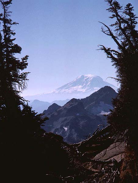 mt adams.jpg