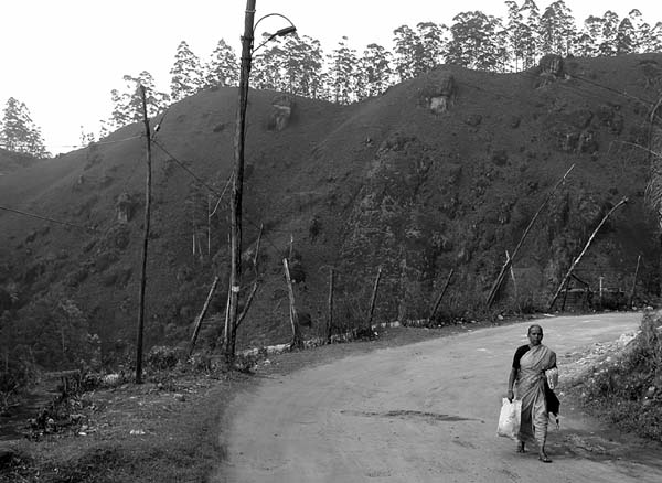 600munnar139bw.jpg