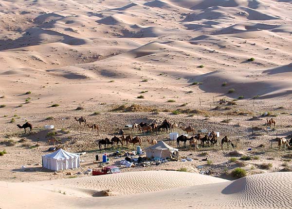 camel camp.jpg