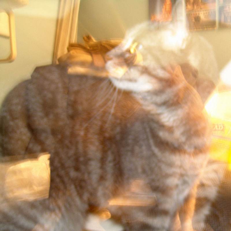 February 4 2006