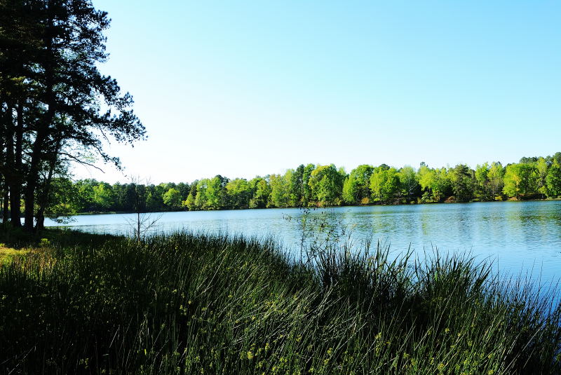 (20090407_172804_rj_b_d200)