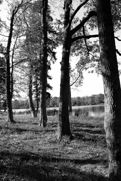 (20090407_173151_rj_c_d200)