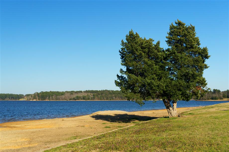 (20130302_163436_rj_b_lr3_nexc3)