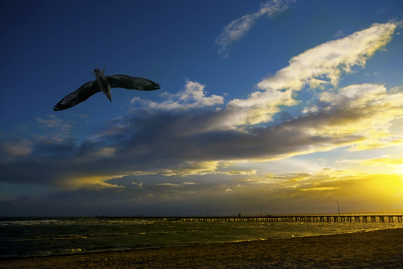 Altona Dusk