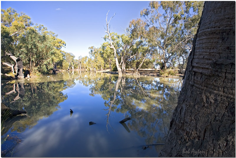 Billabong Creek