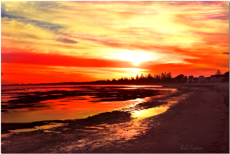 Altona Red.jpg