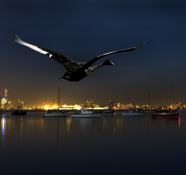 Wings of the Night