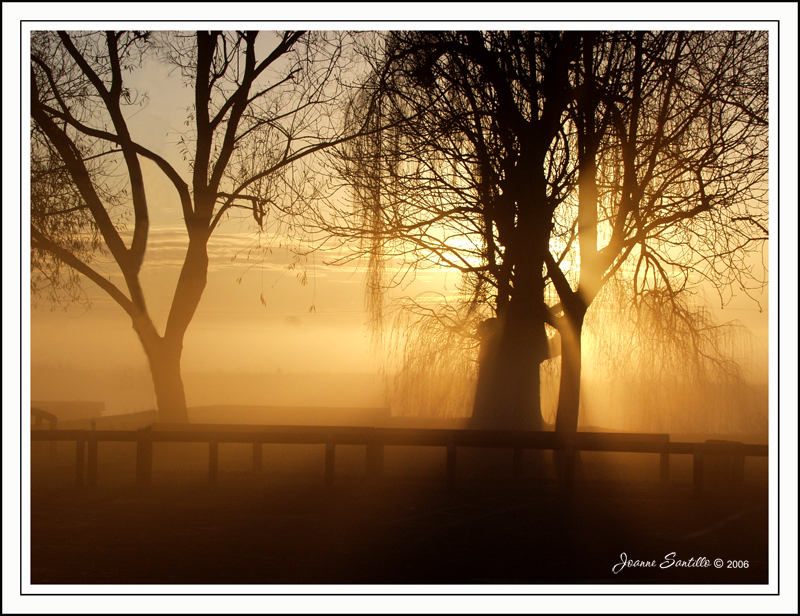 Early one morning - mist over the Ouse