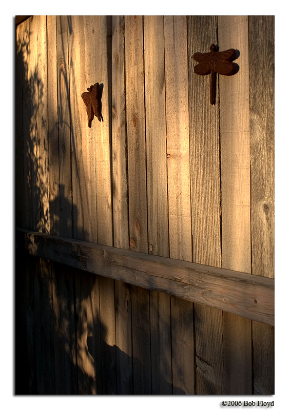 4/8 - Shadows and Butterflys