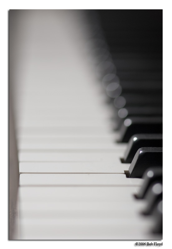 8/10 - Challenge: Shallow DOF