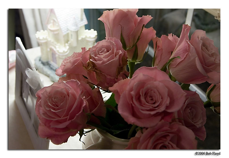 8/25 - Because Little Girls Should Come Home to Flowers