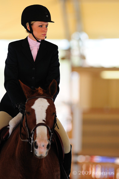 Scottsdale Hunter Jumper Show