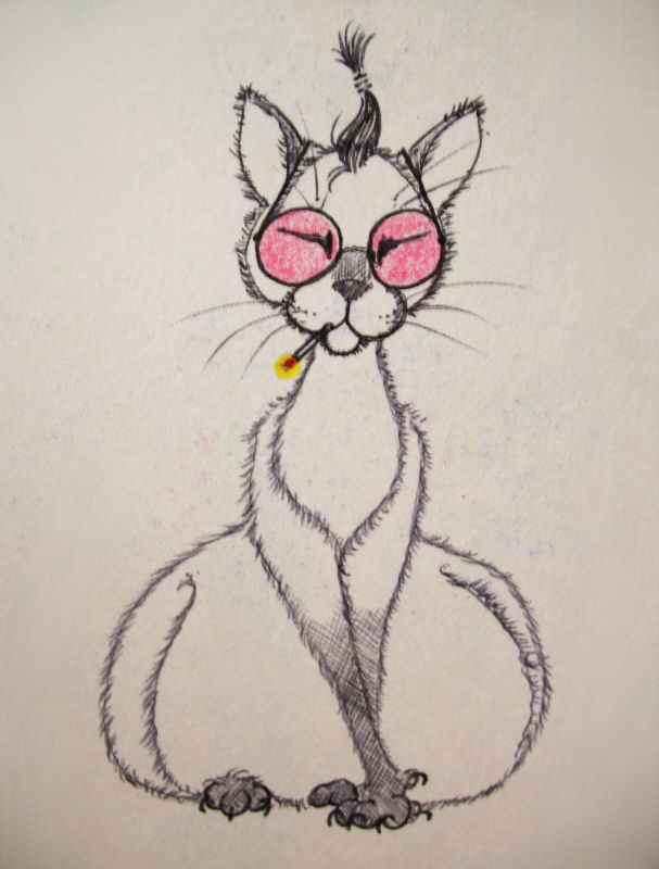 Pot bellied peace lovin kitty