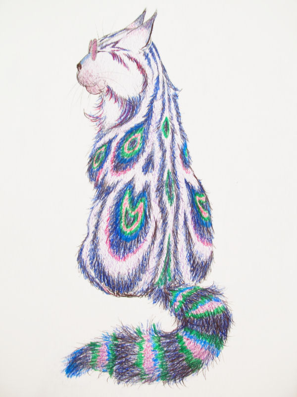 Too cool rainbow kitty