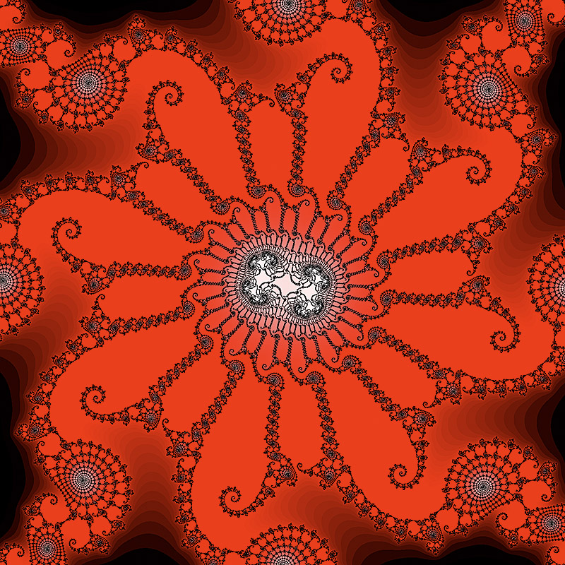 Lacy Julia DE blacks & reds
