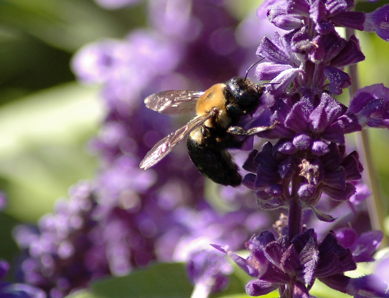 Macro... 8