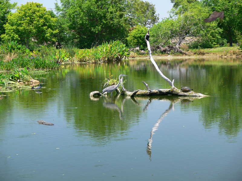 Wakodahatchee Wealth