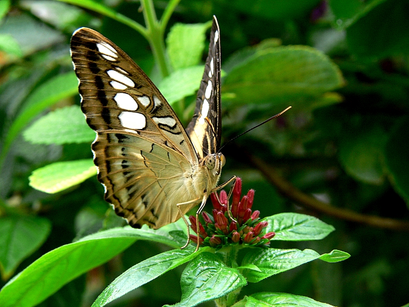 P1080753.JPG
