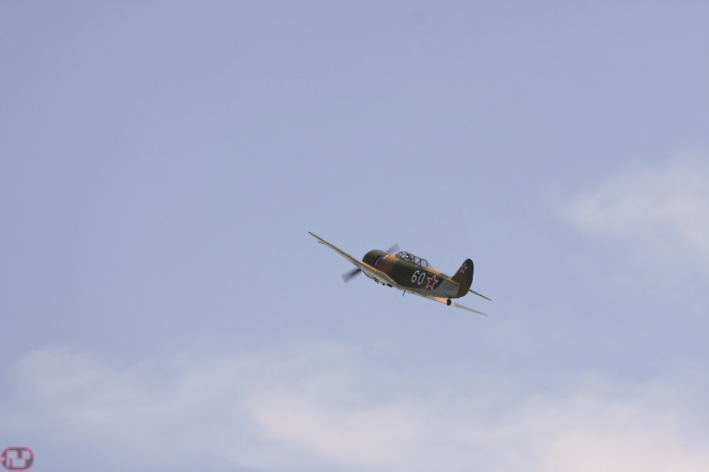 Yak 11