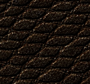 tissus5_ecaille_300.jpg
